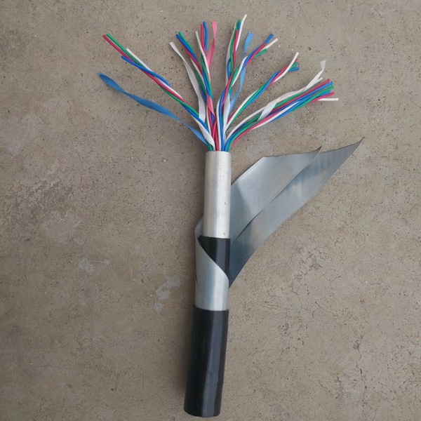 最新研发ptyl23铁路信号电缆(铝护套) - 我的网站